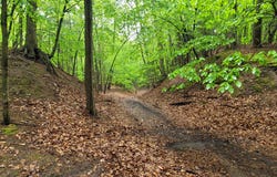 Avenue D, Pentwater, MI 49449