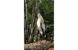 32801 Hwy 441 Lot 192, Okeechobee, FL 34972