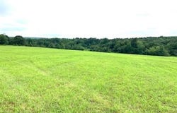 Crockett Road, Rose Bud, AR 72137