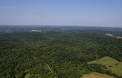 0 Dan Station Road, Olaton, KY 42361