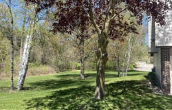 17267 Roosevelt Road, Spring Lake, MI 49456
