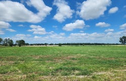 56101 E 130 Road, Miami, OK 74354