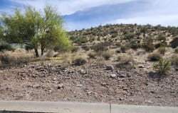 3860 S Quail Crest Street, Gold Canyon, AZ 85118