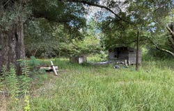 11011 AL-5, Nauvoo, AL 35578