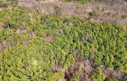 00WP#2 Drake Hill Rd, Freehold, NY 12431