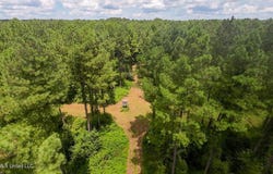 1026 Mt Olive Road, Mount Olive, MS 39119