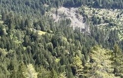 12350 Forest Service Rt 1 Road, Kneeland, CA 95549