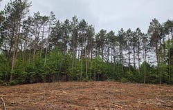 Parcel C 52nd Avenue, Mears, MI 49436
