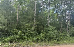 00 N Skookum Road, Luther, MI 49656