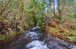 24174 S LOG HOUSE RD, Colton, OR 97017