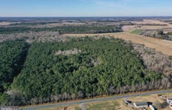 BENT PINE Road, WILLARDS, MD 21874