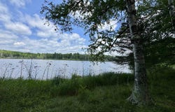 289 Wright, Crystal Falls, MI 49920