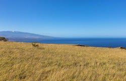 KAMAKANI LOOP, Kamuela, HI 96743