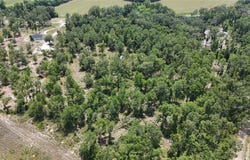 CR 49, LIVE OAK, FL 32060