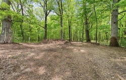 19311 (xxx) N Newgate Avenue, Scandia, MN 55047
