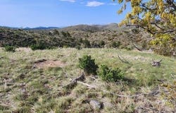 56 Kit Carson Ln, Cotopaxi, CO 81223