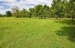 Hwy 82 A, Tahlequah, OK 74464