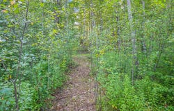 L11.11 Rossman Valley Rd, Richmondville, NY 12149