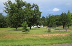 1550 Hut, Box Springs, GA 31801