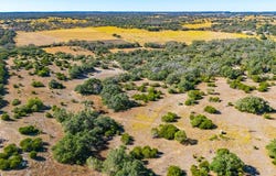 391 Henry P Schmidt Rd, Fredericksburg, TX 78624