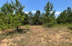 0101 Crimson Ridge Rd lot 101, Brookwood, AL 35444