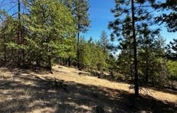 1 Orchard Heights RD, Goldendale, WA 98620