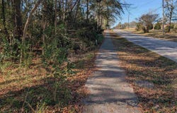Brown Street, Prosperity, SC 29127