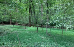 12503 MEADOWOOD DRIVE, SILVER SPRING, MD 20904