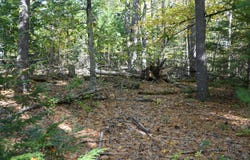 411 Middle Road, Standish, ME 04084