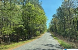 849 CORNELIA ROAD, BRIERFIELD, AL 35035