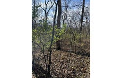20 Marshall Road, Washington, MO 63090