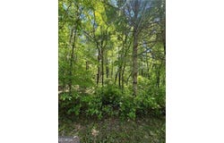 Sunrise Valley Road, Blue Ridge, GA 30513