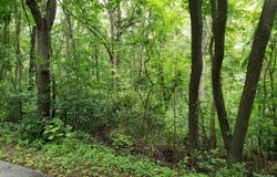 LOTS 1-2 BLACKBIRD WAY, FRONT ROYAL, VA 22630