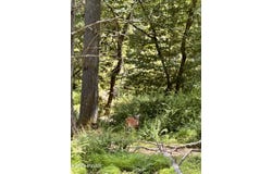 307 Fawn Lake Drive, Hawley, PA 18428
