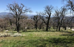 30341 Starland Drive, Tehachapi, CA 93561