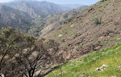 1785 Alta Mura Rd Rd, Pacific Palisades, CA 90272