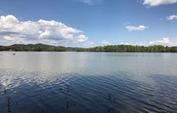 115 County Road 714, Cedar Bluff, AL 35959