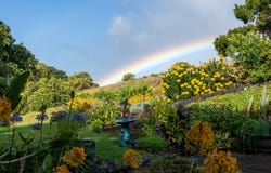 65-1508 KAWAIHAE RD, Kamuela, HI 96743