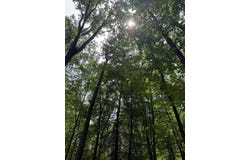 00 Stephens Lane, Huntingdon, PA 16652