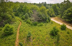 N Apple Drive lot: 62/1.88 A M/L, White Cloud, MI 49349