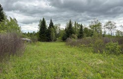 00 St Rt 8, Cold Brook, NY 13324
