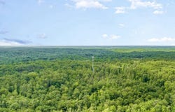 39338 COONEY NECK ROAD, MECHANICSVILLE, MD 20659