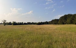 CR 2501, Eustace, TX 75124