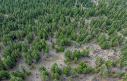 155 Lonesome Lane, Rexford, MT 59930