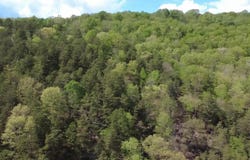 0 Johns Creek Rd, New Castle, VA 24127
