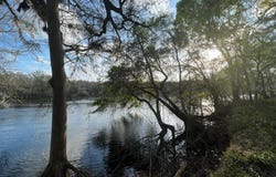 1263 NW 82ND TERRACE, BELL, FL 32619
