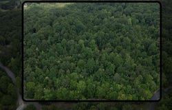 Dogwood Hollow, Old Fort, TN 37362