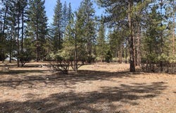 Red Cedar Ct, Etna, CA 96027