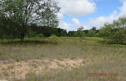 568 GROUSE DRIVE, KALKASKA, MI 49646