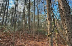 213 Saddlewood Drive, Goldsboro, NC 27354
